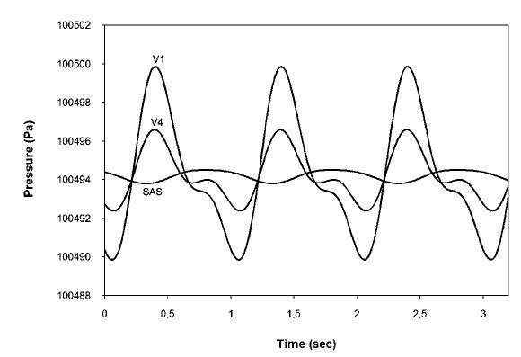 Figure 9 - Pulsatile Cerebrospinal Fluid Dynamics in the