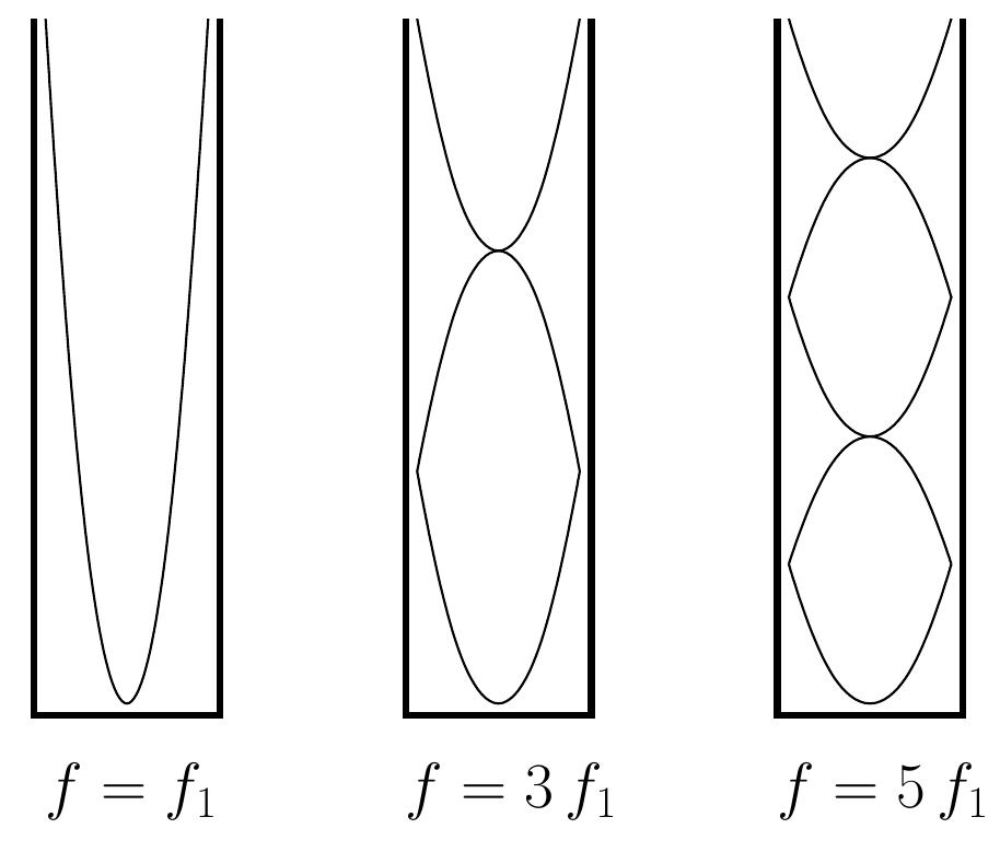 洋書 Signals, Oscillations, and Waves Signals, Oscillations, and Waves by David Vakman a Modern Approach