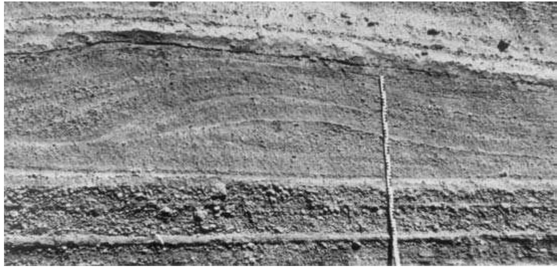 (PDF) Sedimentary Rocks in the Field THIRD EDITION