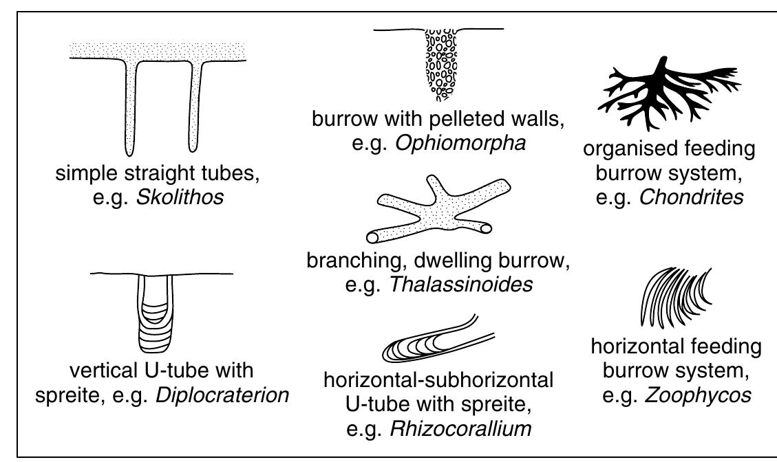 Figure 118 - from Sedimentary Rocks in the Field THIRD