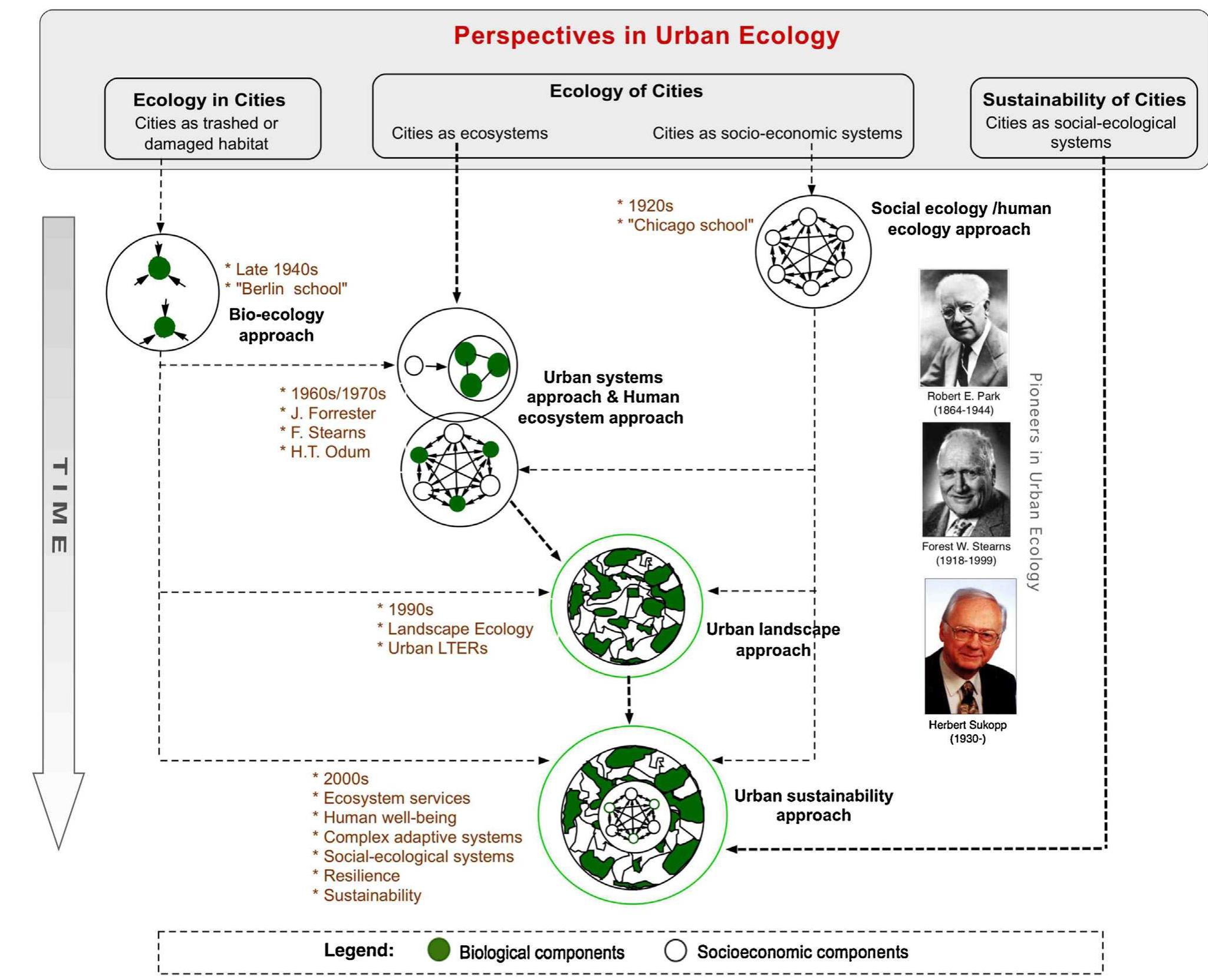 (PDF) Urban ecology and sustainability: the state-of-the-science and ...