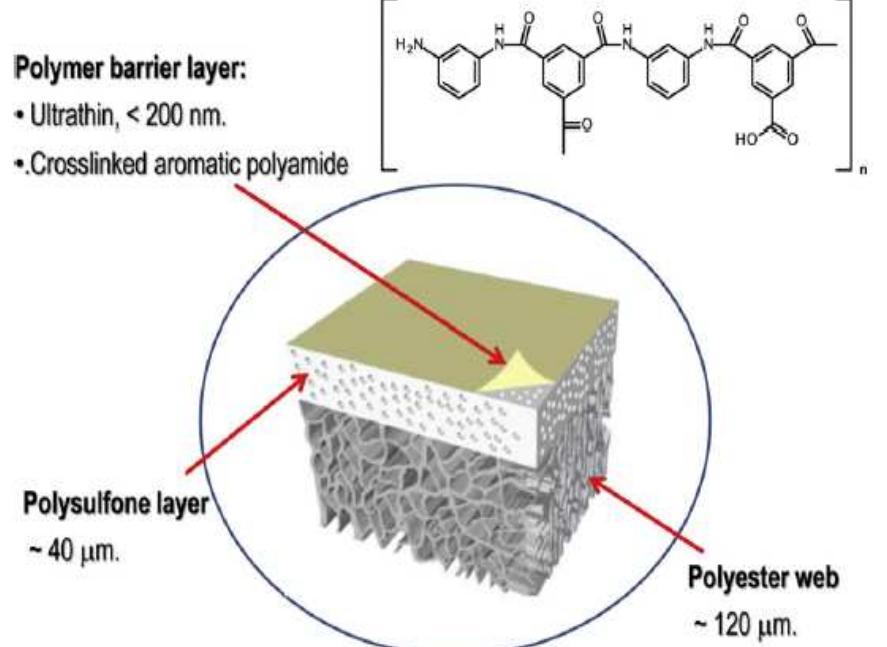 Figure 1 - from II. THIN COMPOSITE FILM MEMBRANE