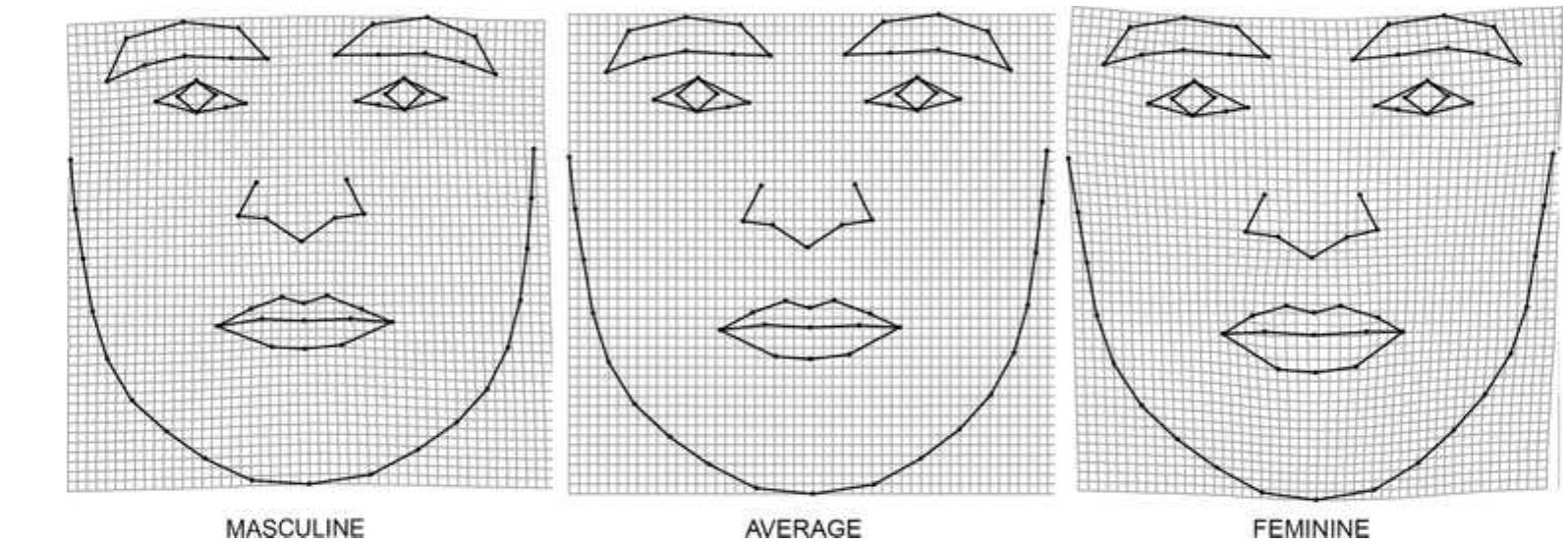 phic trait typical for men; (2) the wider basicranium is typical for men; hence, men, on average, have wider faces (Ferrario, Sforzi, Miani, & Tartaglia, 1993). On the other hand, some other sexually dimorphic facial traits were rather more mas- culine in our homosexual sample (e.g., wider jaw or thicker eyebrows), resulting in a mosaic of both feminine and mas- culine features. It is worth noting that the described differ- ences of the two groups of individuals were appraised qual- itatively and subsequent studies should focus on testing for the influence of these particular facial parts in sexual orien- tation attributions.   esize that differences in facial shape between homosexual and heterosexual men, as well as other studied traits, arise early during development. Nevertheless, we are aware that more research is needed to decide whether the reported differences are also present in cohorts of different ages or in other populations. 