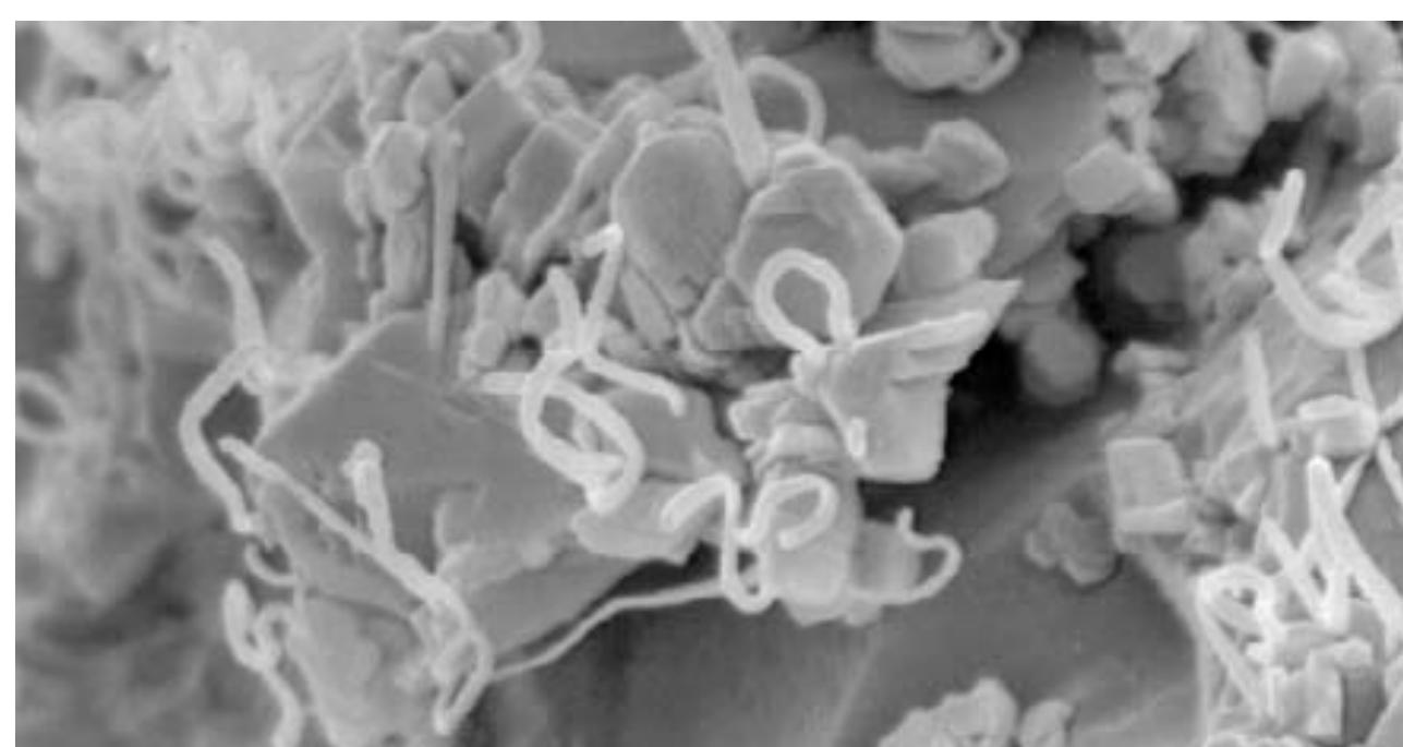 Figure 3 - from MEOR (MICROBIAL ENHANCED OIL RECOVERY) – A