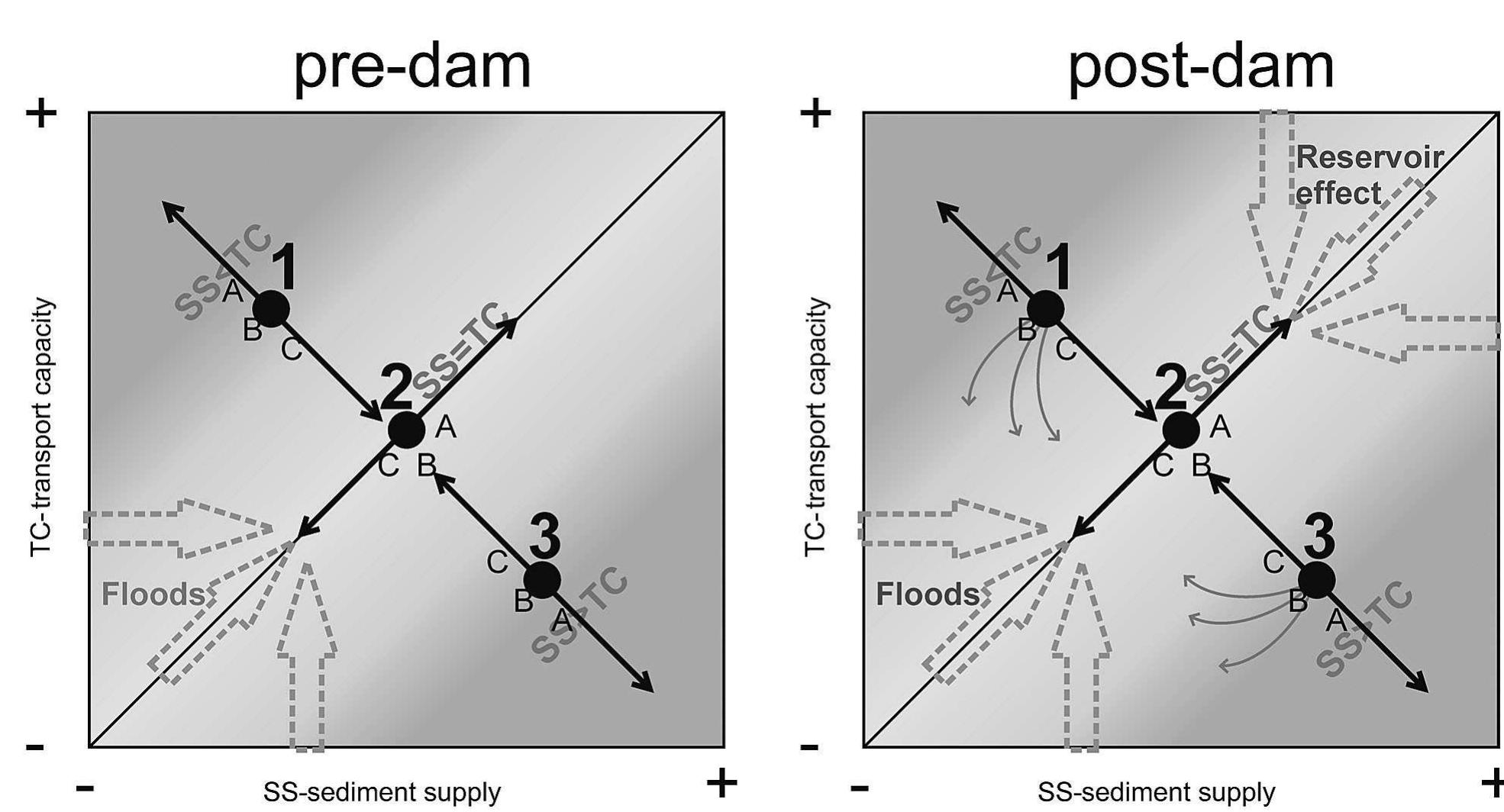 Schematic representation of trajectory types considered in