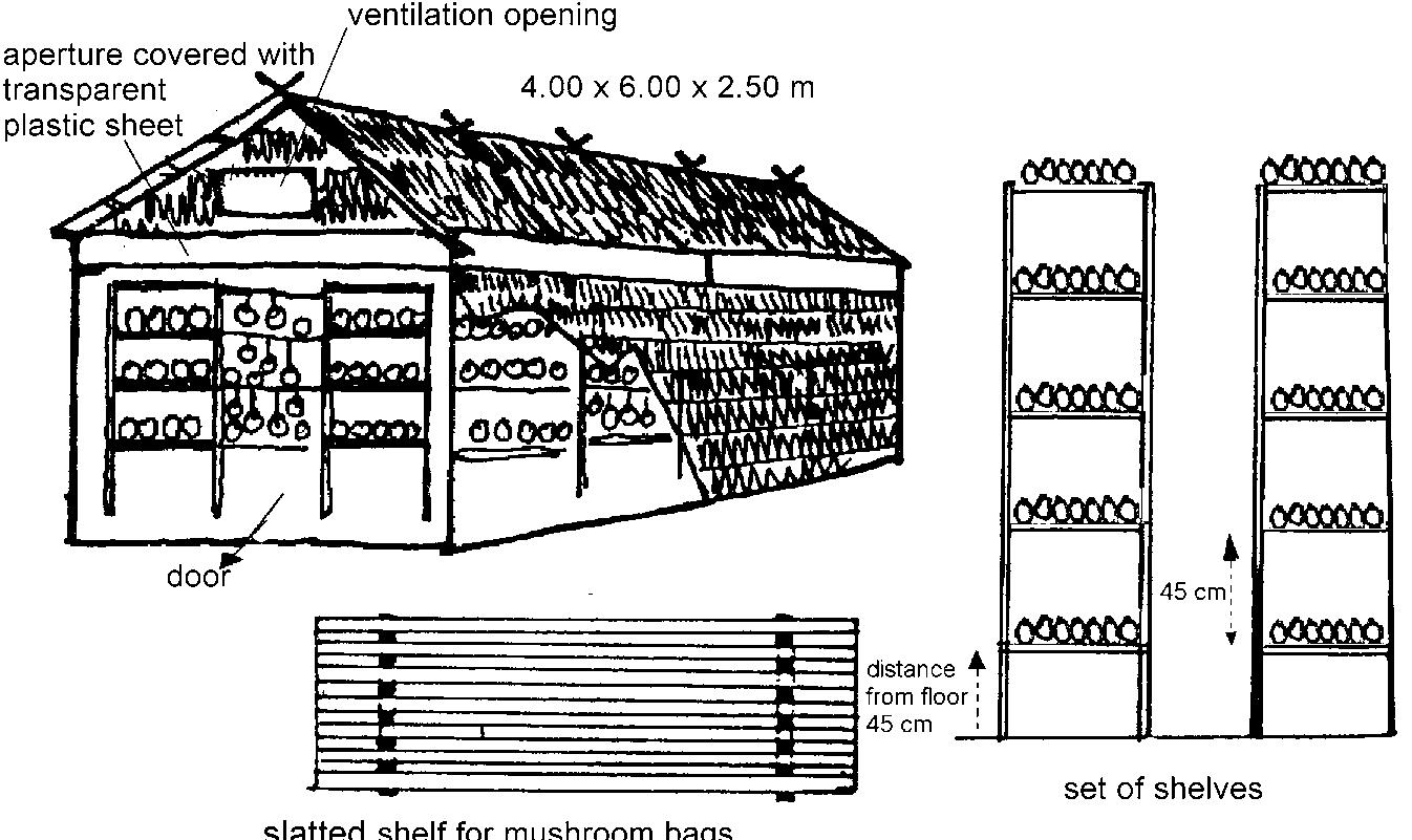 Figure 4 - Agrodok 40 Small-scale mushroom cultivation