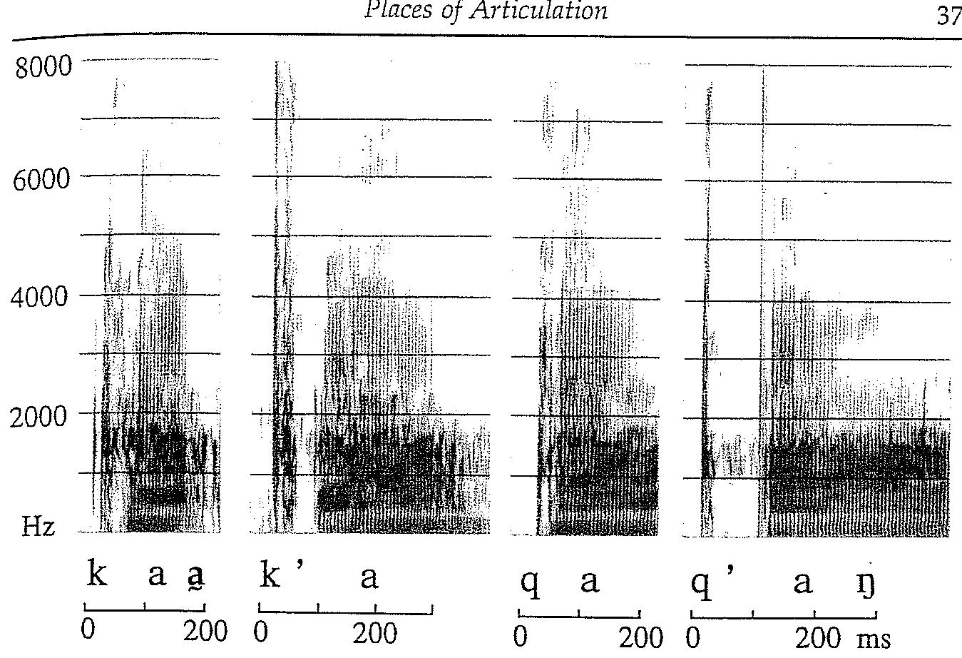Figure 148 - from The Sounds of the World's Languages 1996