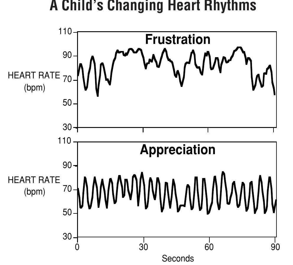 This graph shows the heart rate variability patterns of a