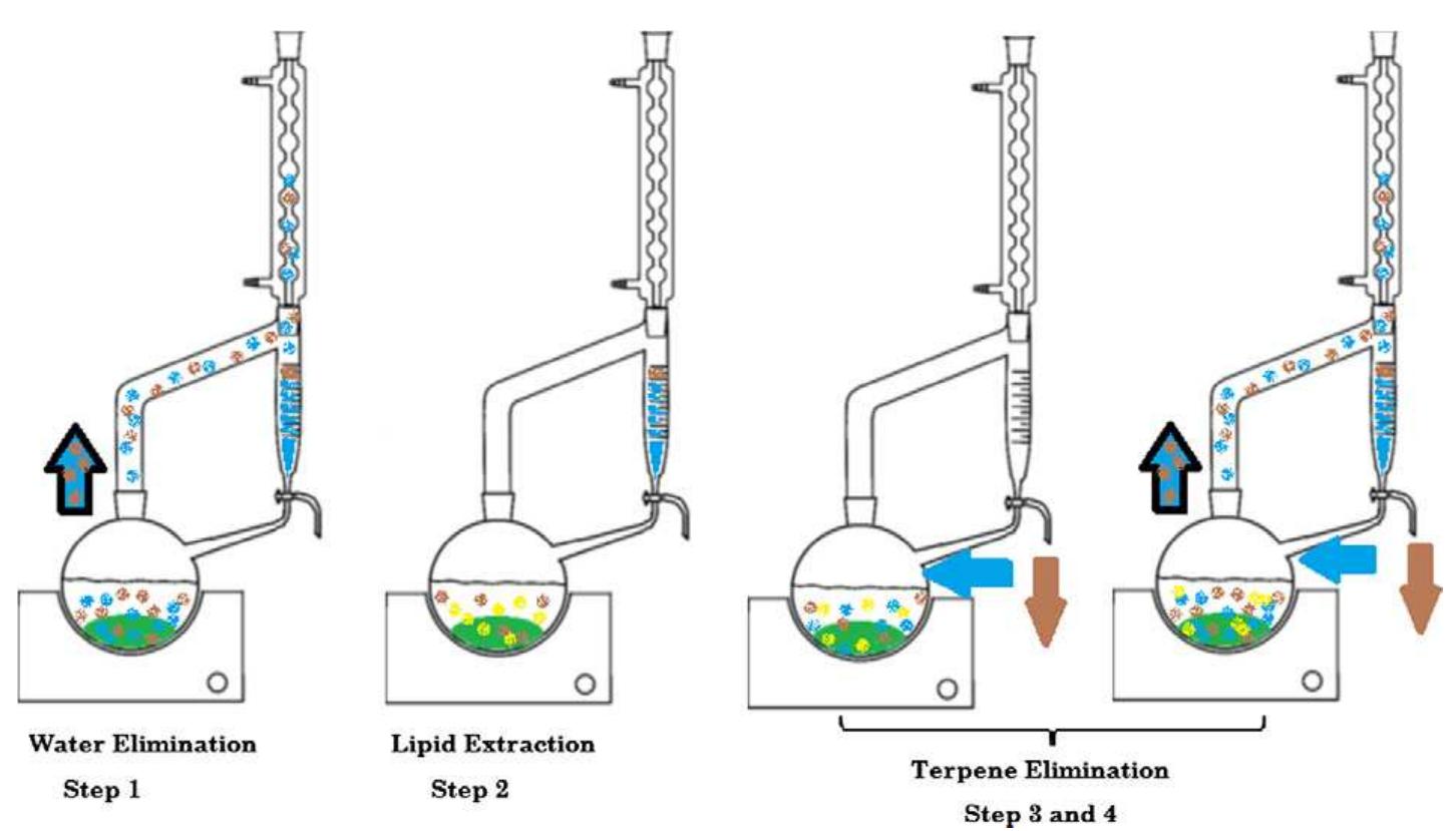Figure 1 - from New procedure for extraction of algal lipids