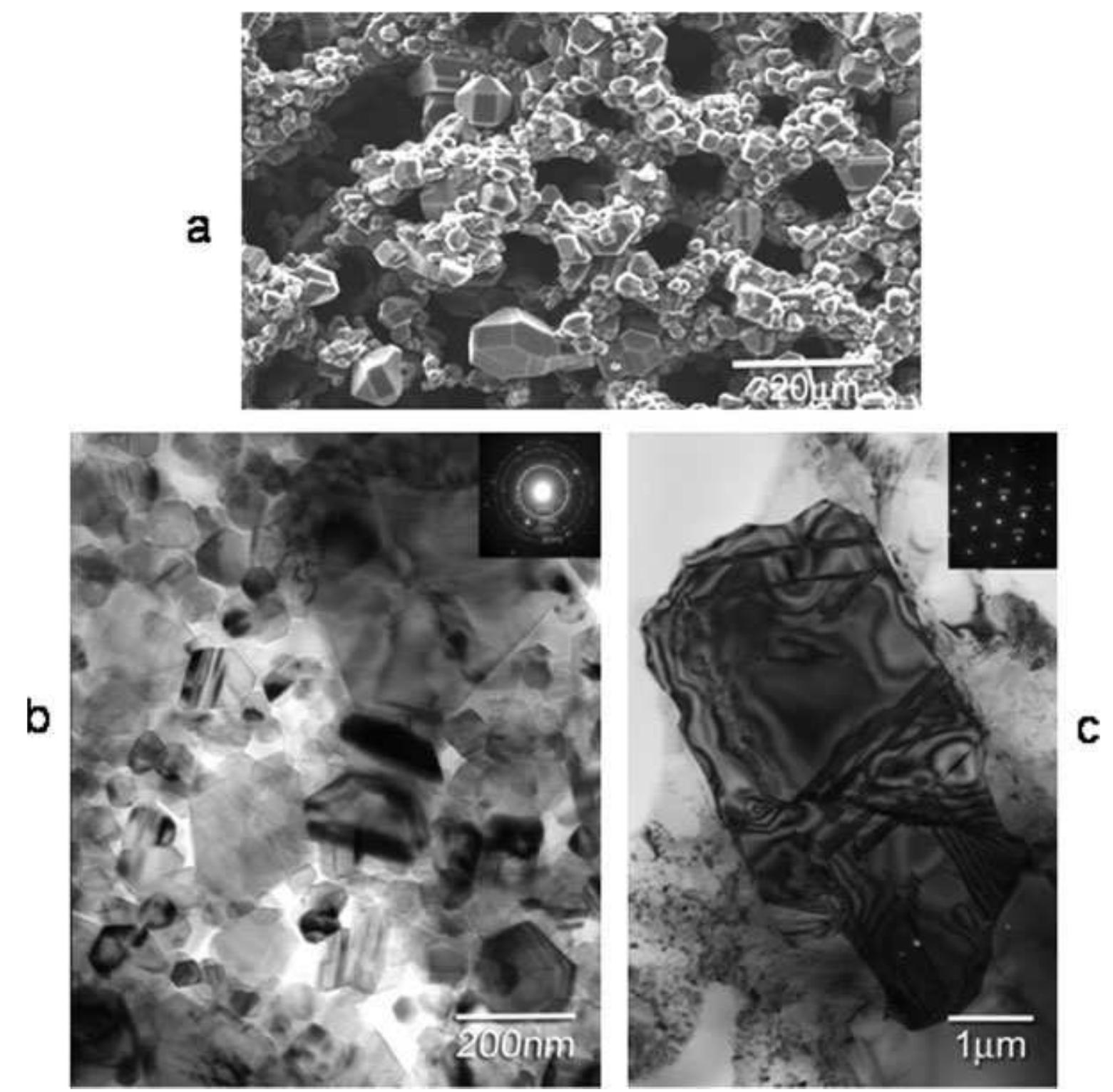 Figure 3 - from A new generation of bio-derived ceramic