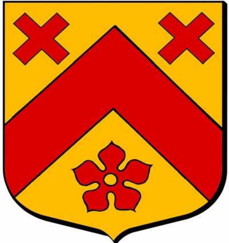 Figure 15. Pierre Ravier’s coat of arms, Armo- rial général, 1701 (drawing by J.-P. Fernon).  Two Kings for One Country: the use of St Andrew's Cross... 