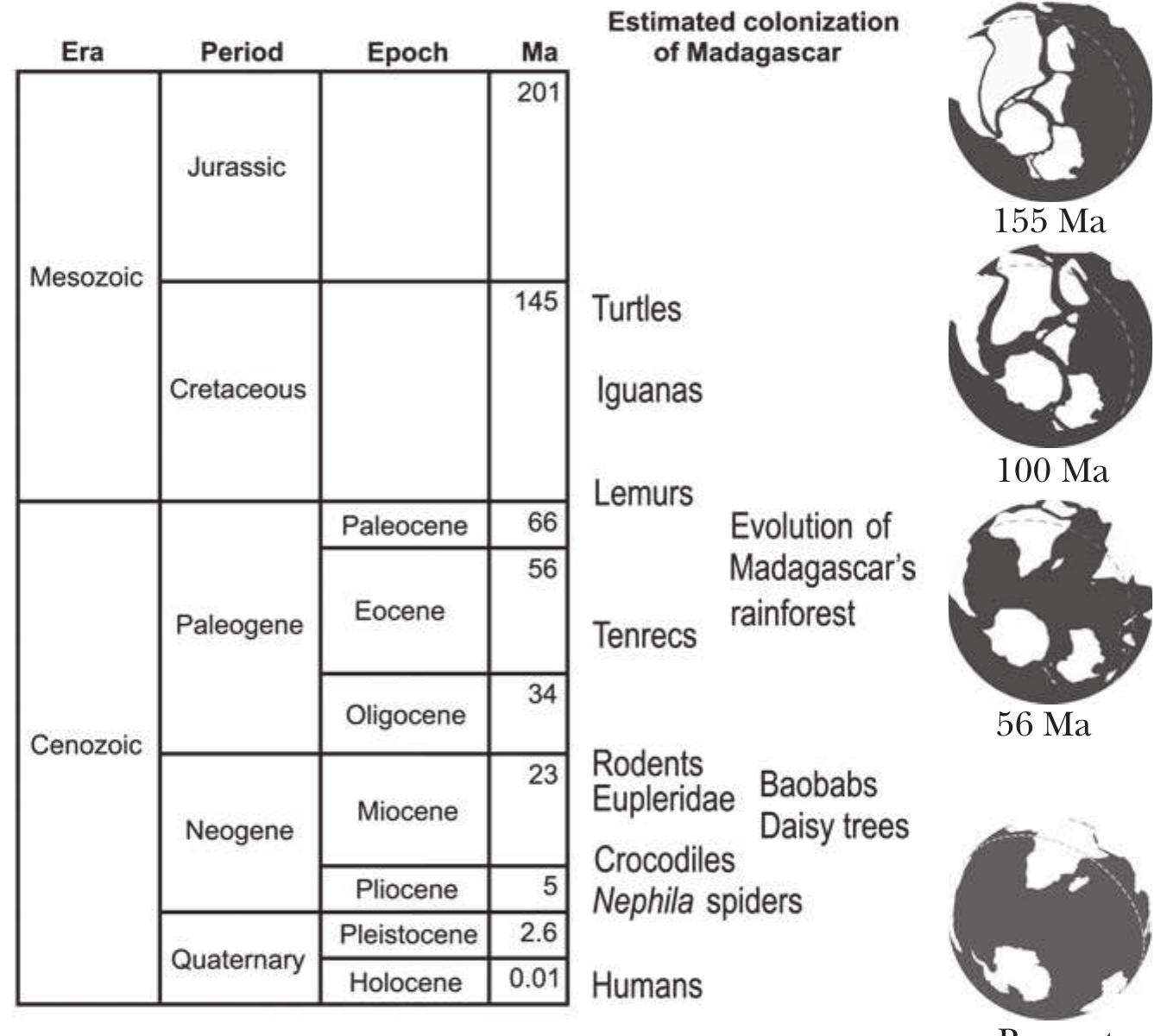 Nigure 2.6 left: schematic sequence of the retreat of