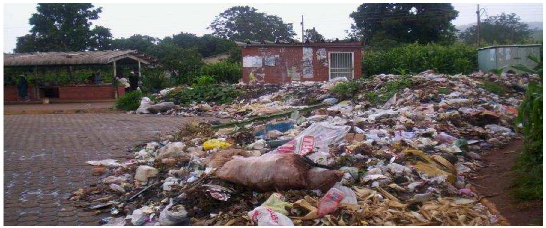 The components of solid waste management system in bulawayo