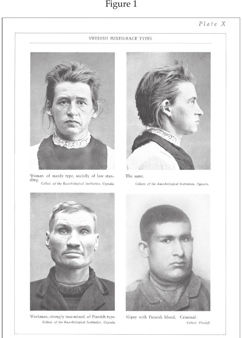 Lundborg's Classification (PDF)