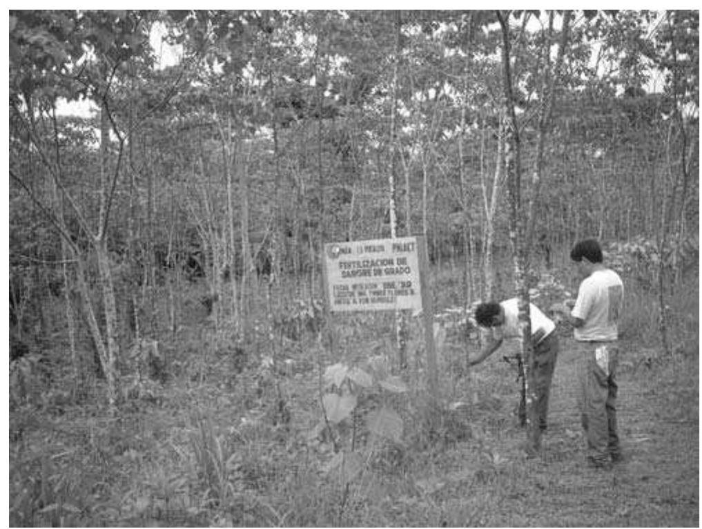 (PDF) Local Participation, Livelihood Needs, and Institutional ...