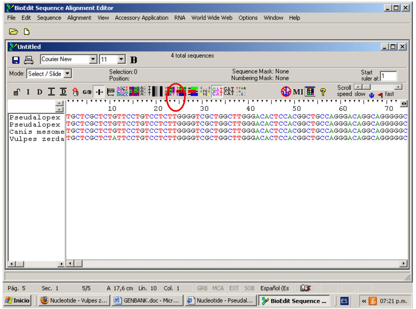 Bioedit Sequence Alignment (PDF) Introducción a la Taxonomía Manual de ejercitaciones