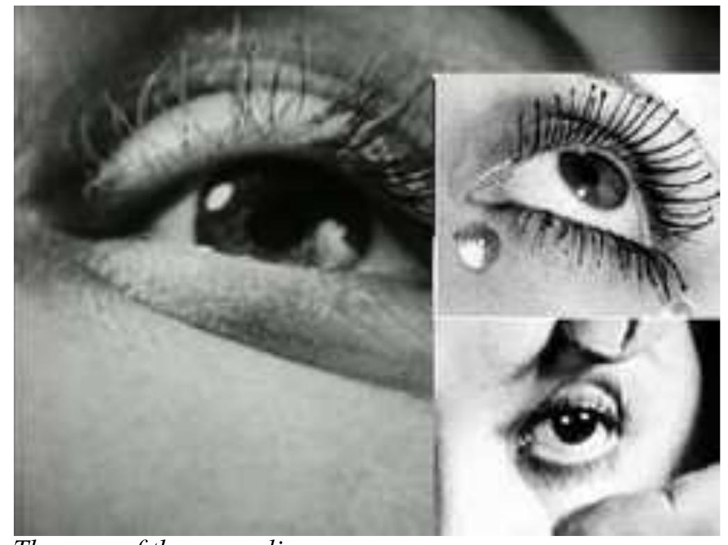 Figure 4 - from Images and themes in Meshes of the Afternoon