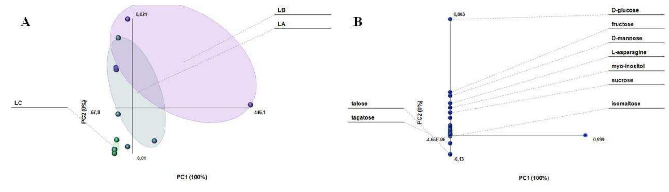 Principal component analysis (pca) of gc-ms metabolite