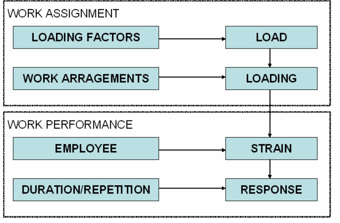 Voice Load Loading effects of work. (adapted from vilkman, 2005;
