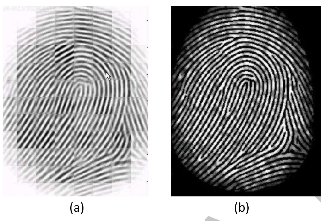 (PDF) Fingerprint Recognition using Image Segmentation