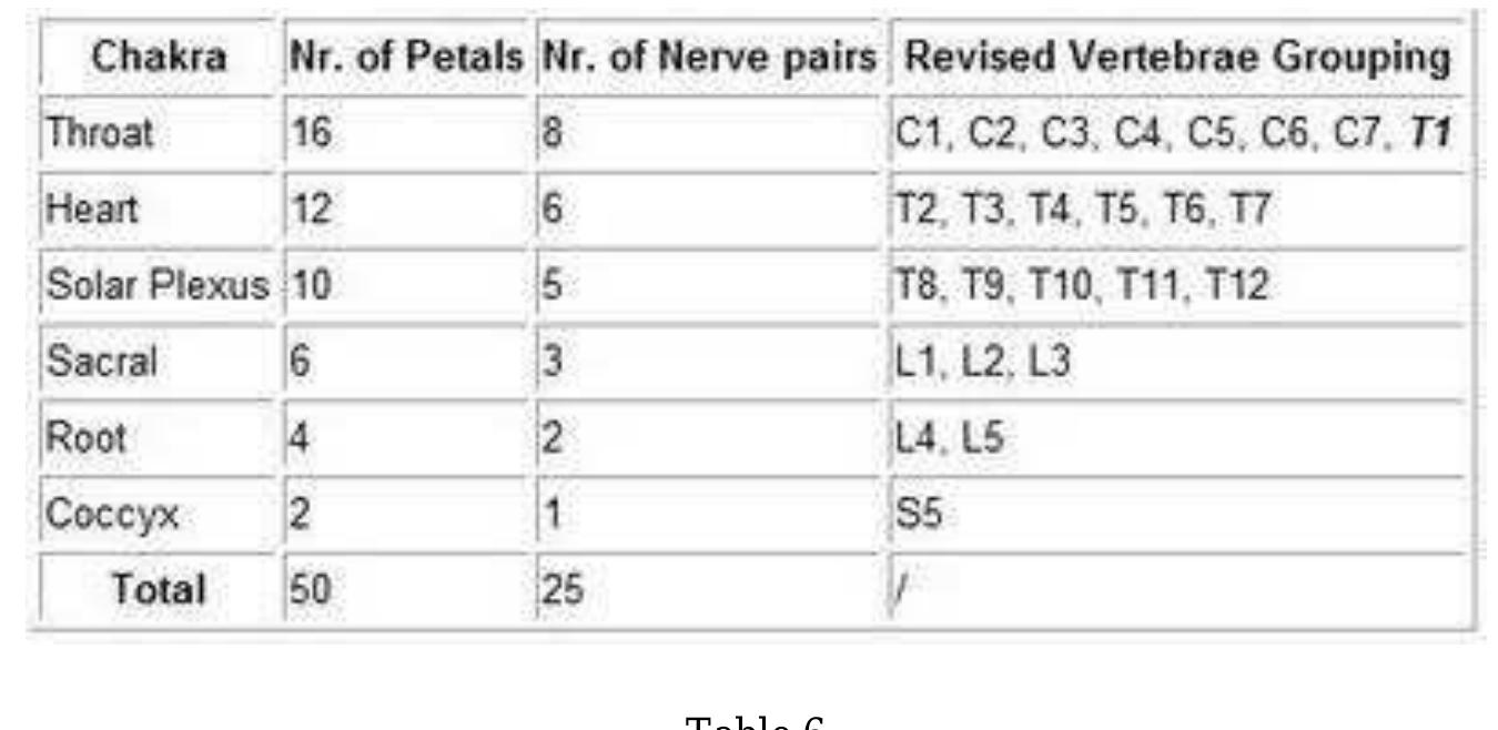 When we look at an anatomy chart (usually displayed on a
