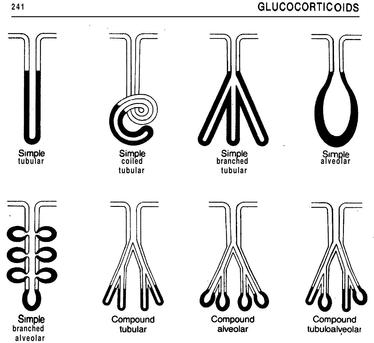 To Secrete Figure 34 - from Biology Dictionary