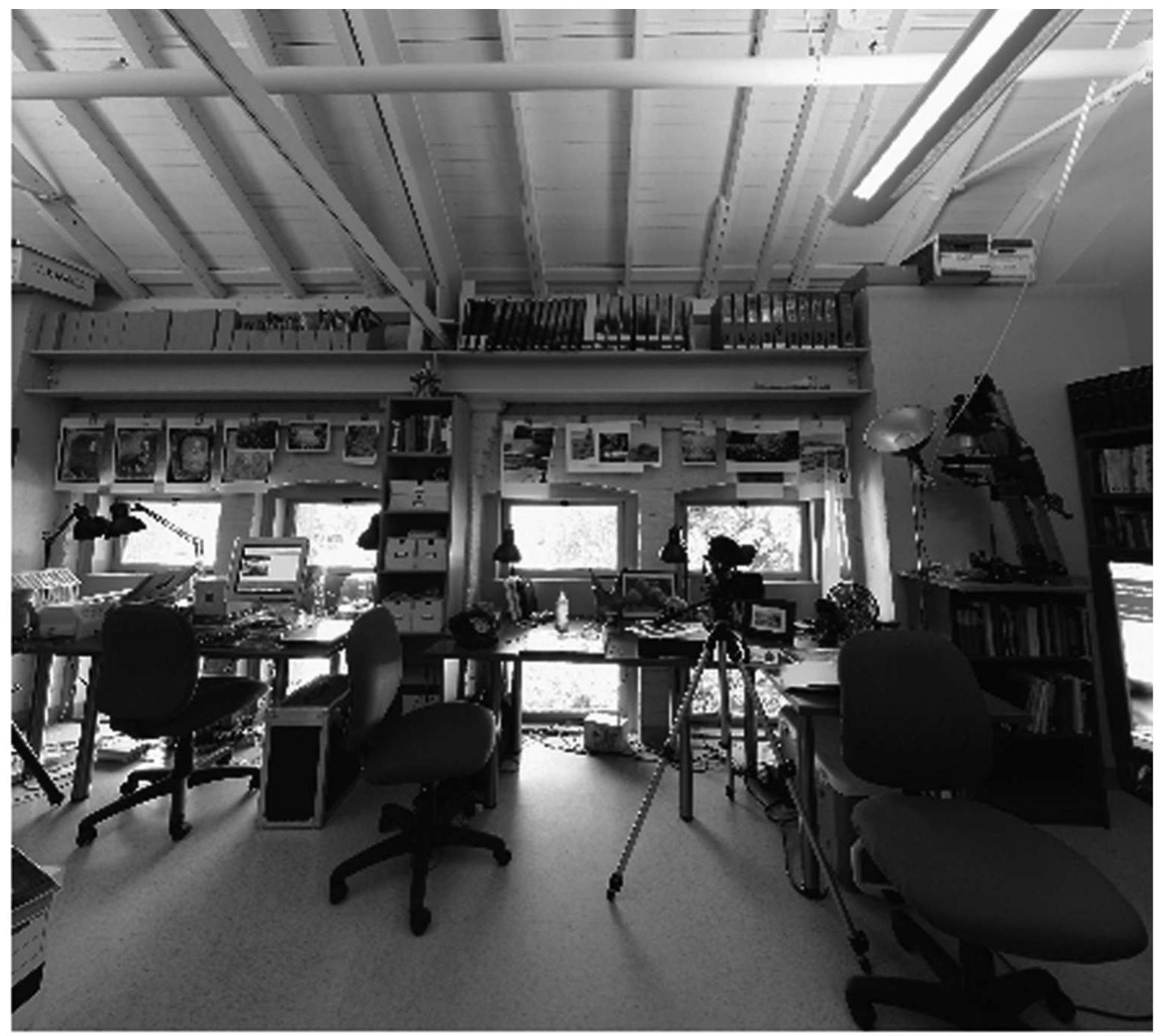 Figure 24.9 After ruin refit: The Metamedia Lab Screenshot of panoramic and navigable QuickTime VR (compare with Figure 10; available at: www.mshanks.com/michael- shanks/metamedia-at-stanford/)  After the archaeologists, equipment, students, and staff begin to inhabit Building 500 in 2005, the documents at the university’s Maps and Records attest to the transformation of the building’s life. The valency of entries marks new activities, while the tempo of maintaining the refitted building resumes (e.g. “DNA lab ventilation modifications’ in 2005, ‘DNA clean work room — ancient DNA Lab’ in 2006).The fleeting flux of Building 500’s ruination was over. On the scale of a single building, there had been performed the transition from Edensor’s (2005: 7-8) ‘hard’ industry (manufacturing) to the ‘softer’ industry of academic archaeology (Figure 24.9). 