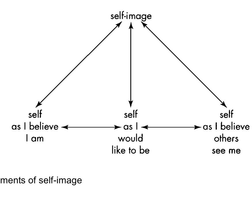 Self Image Graph (PDF) More than words an introduction to communication