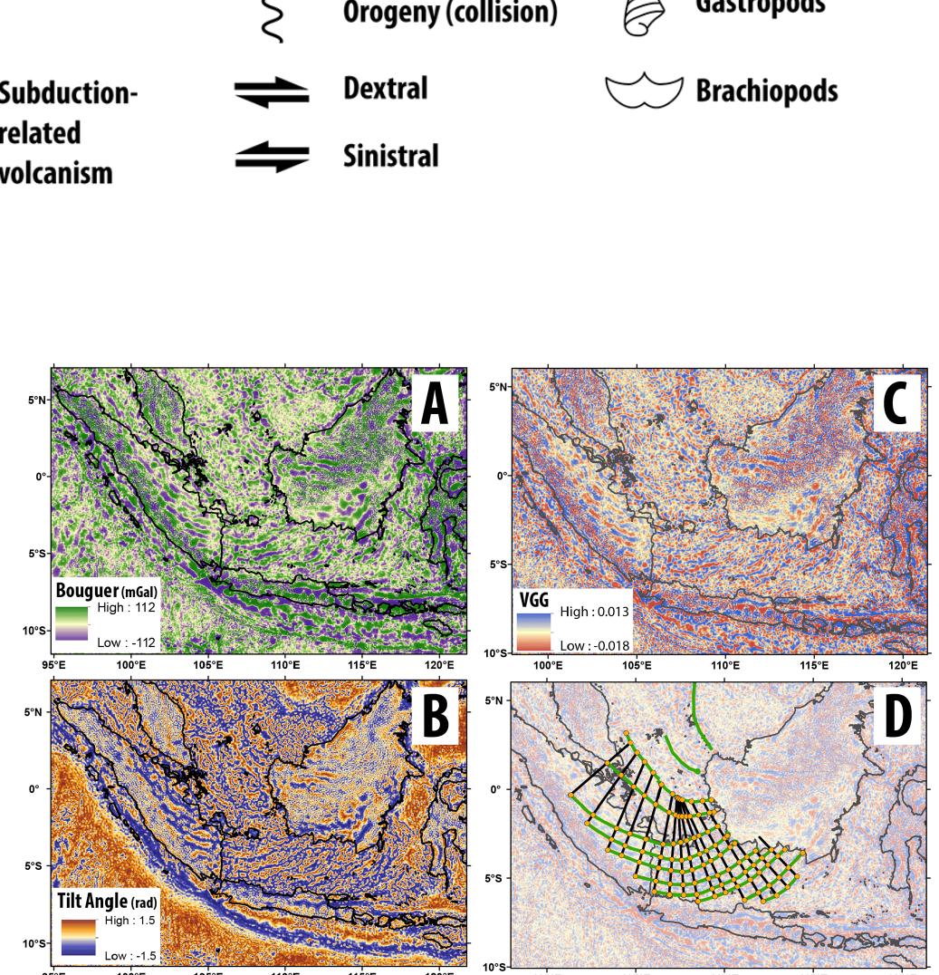 The Cretaceous and Cenozoic tectonic evolution of Southeast Asia
