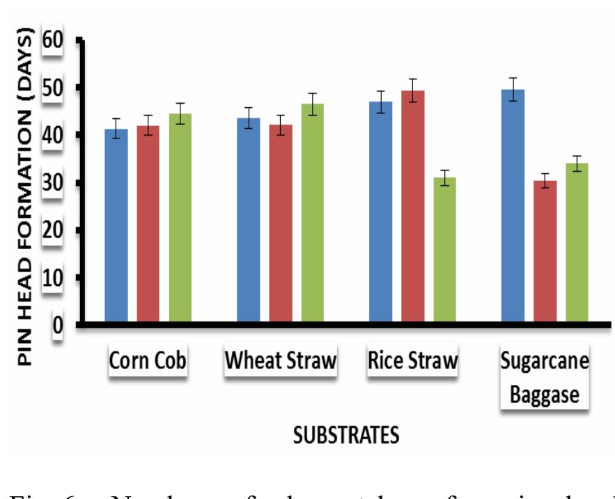 (PDF) Evaluation of Yield Parameters and Nutritional Aspects of ...