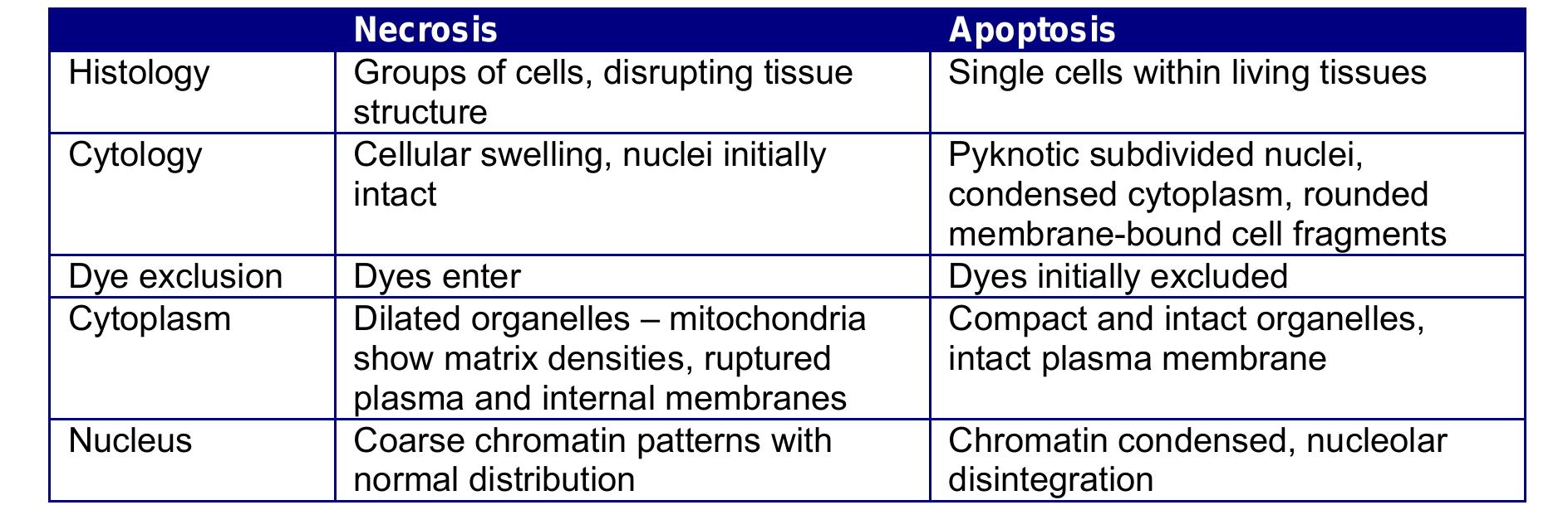 (PDF) 530.304 – General Pathology Lecture Notes