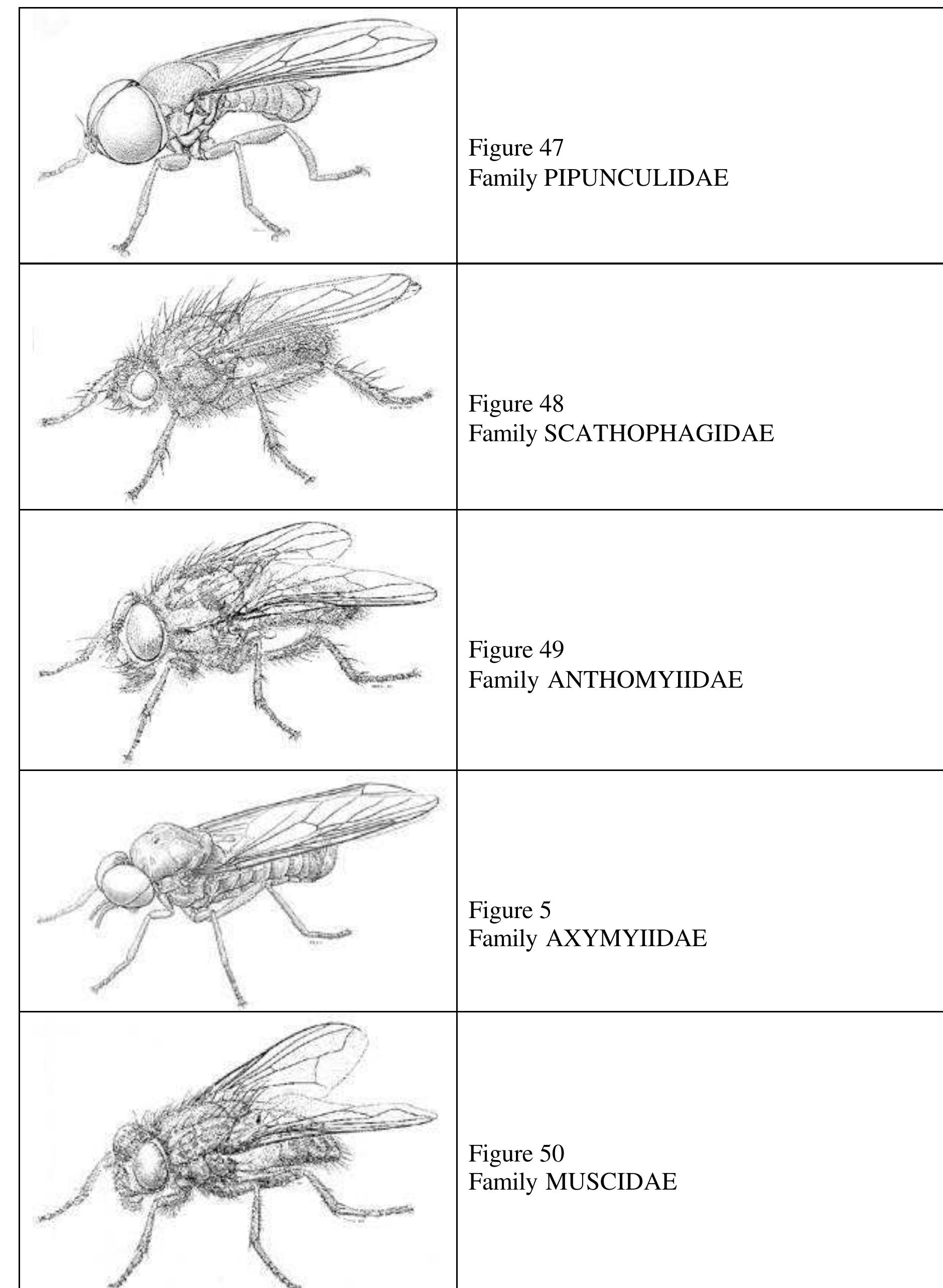 Figure 266 - from Architecture in Detail