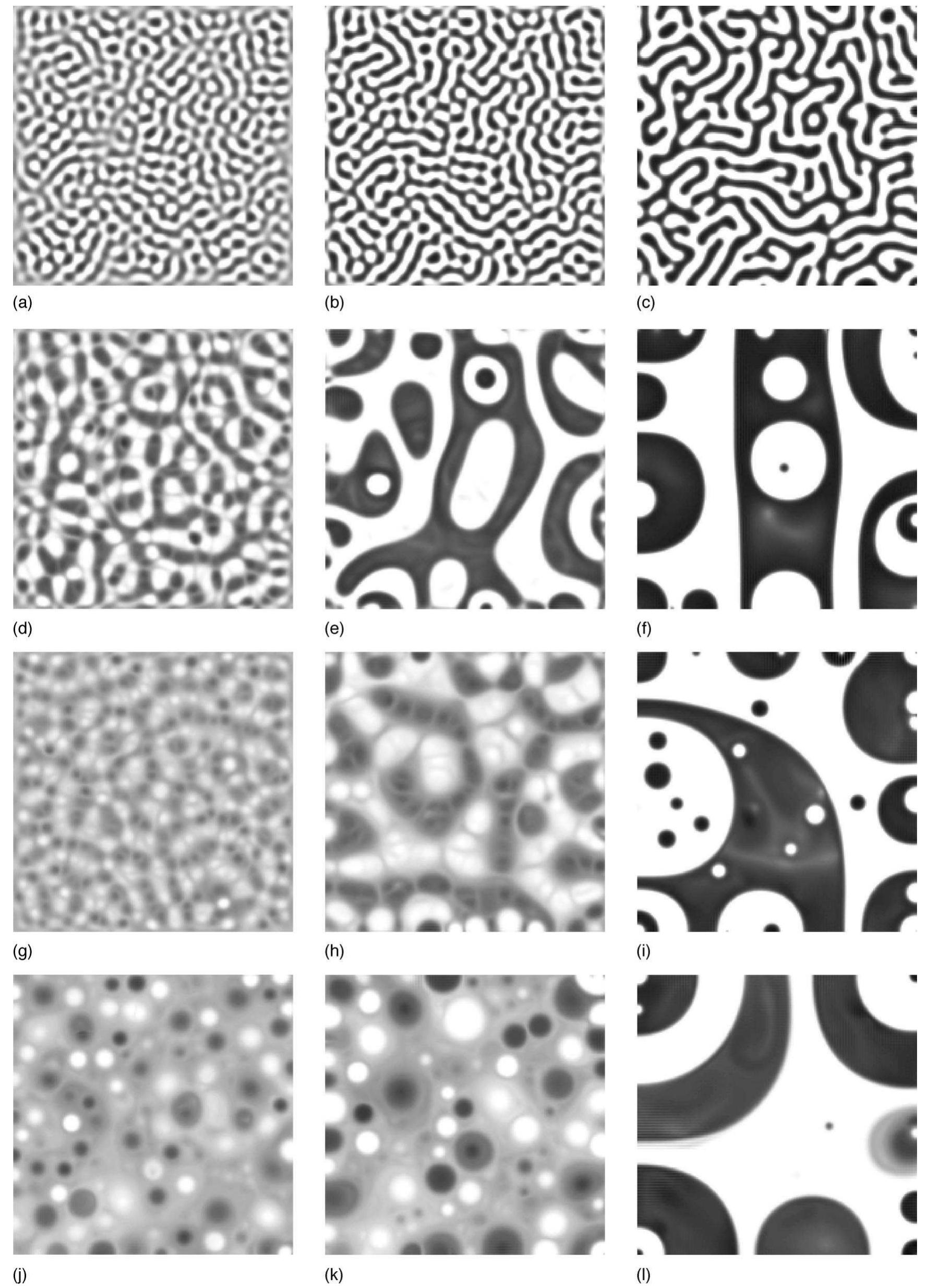 (PDF) Two-dimensional model of phase segregation in liquid binary mixtures