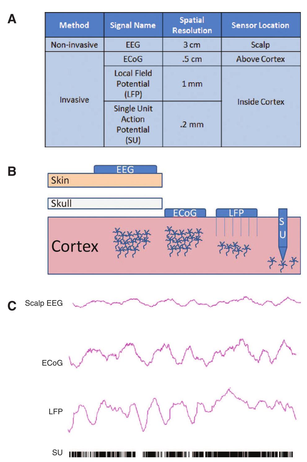 Less Visible Location Standard bci setup vs. hybrid bci setup. (a) example of