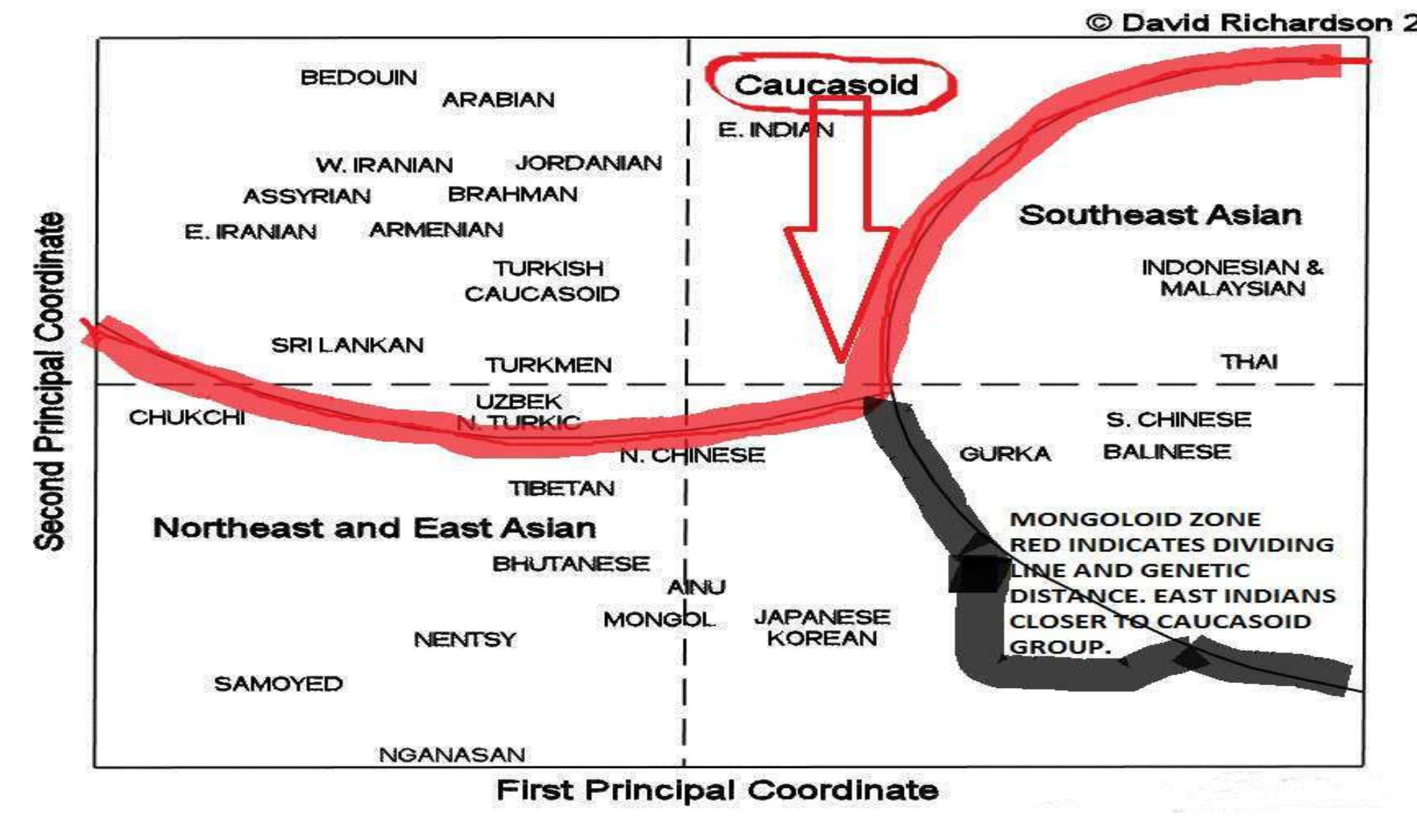 The charts below shows the genetic distance and affinity