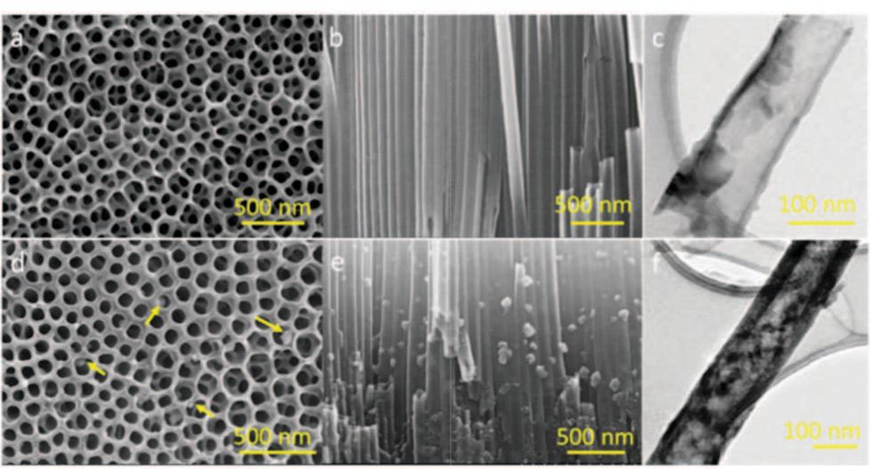 Tio2 Sem Top View (a) uv-vis absorption of chsnhzpblz sensitized tio2