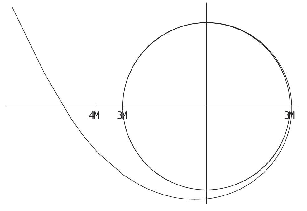 The polar plot shows the critical null geodesic. the photons