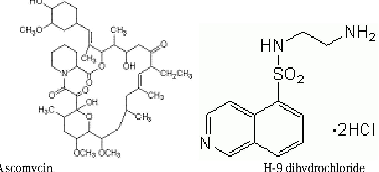 Schematic diagram showing the microdialysis and recording