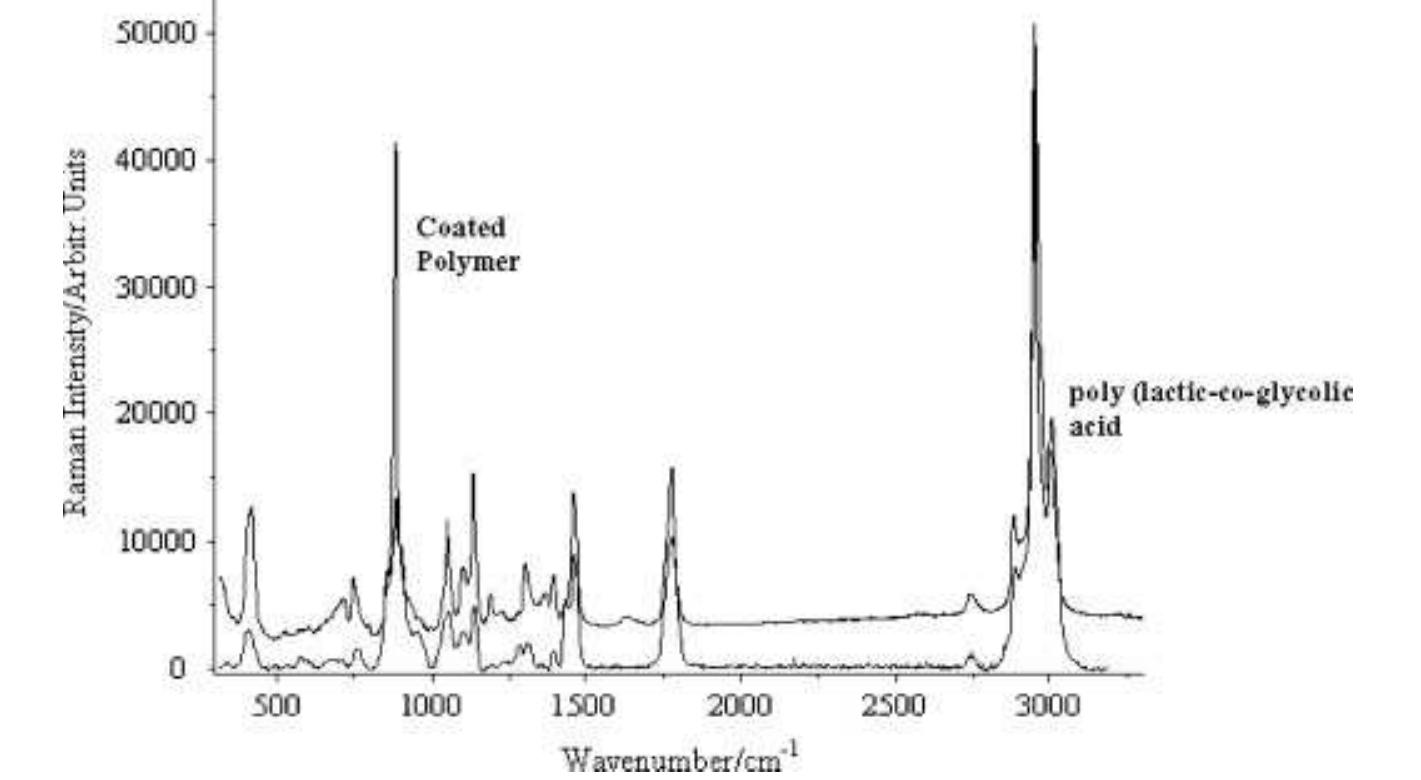 (PDF) Raman Spectroscopy