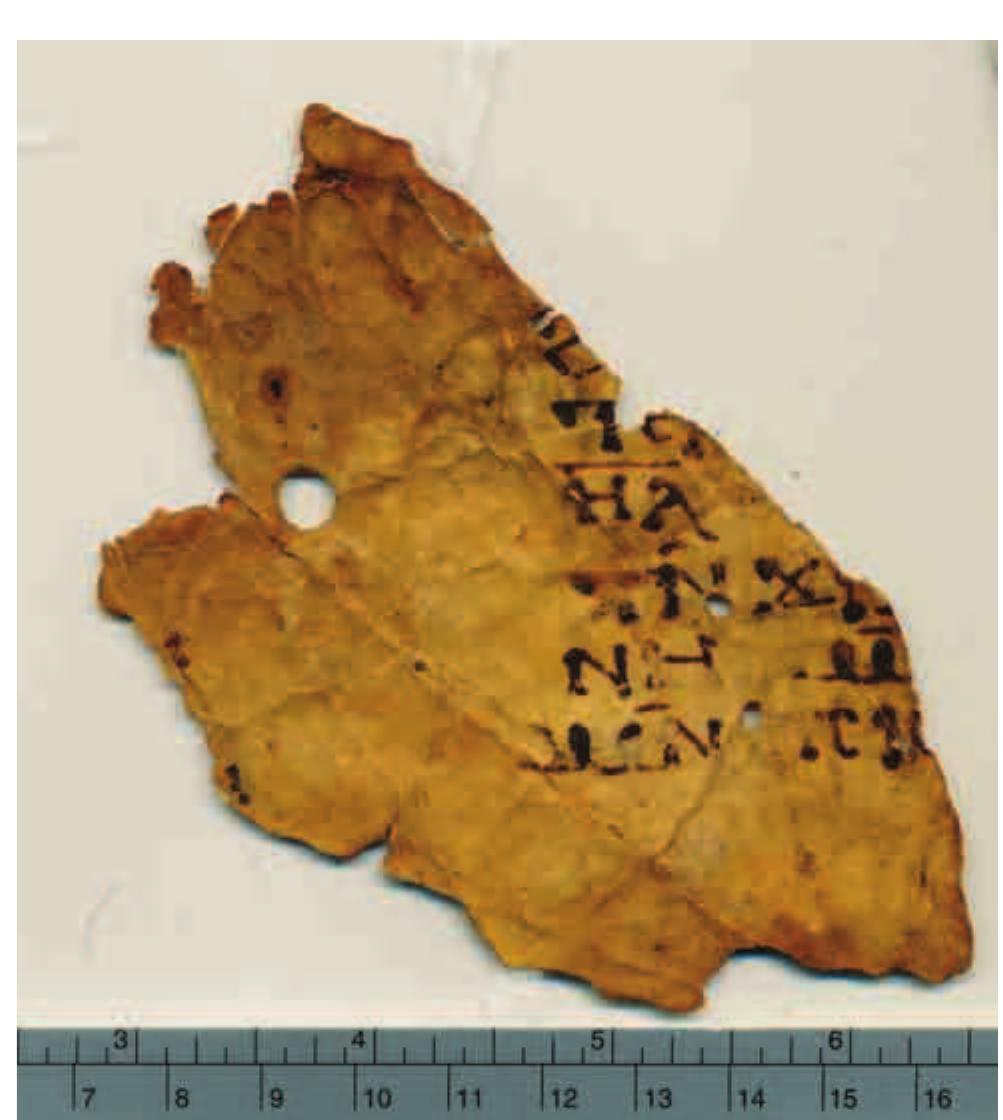 figure_014.jpg
