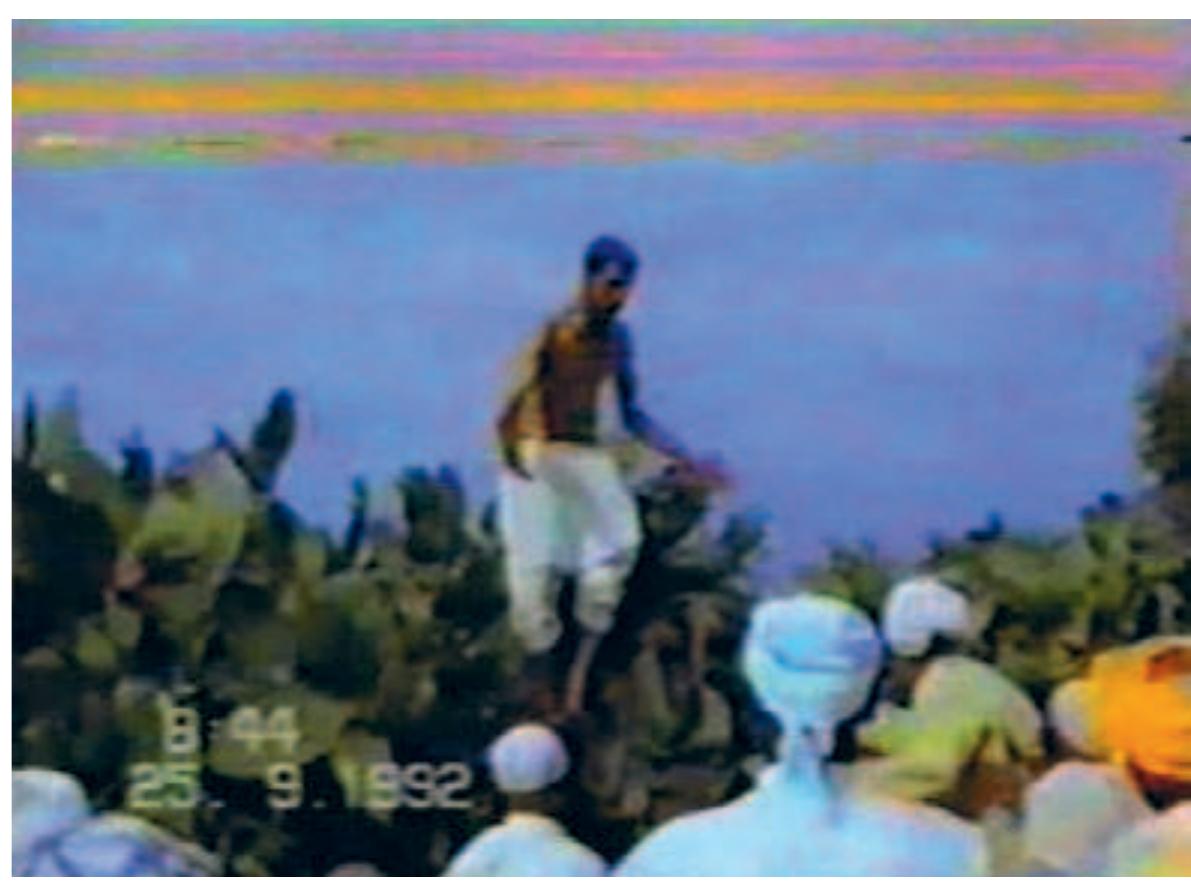 A man in the trance state of the camel, agitating the crowd from a cactus (filmstill)  down,” they have to find their way into the course of the ritual. The muqaddim, the principal of the congregation and sheik of the “cam- els,” supervises the ritual operations and directs them to form a cir- cle. The women-camels perform the trance-dance side by side, carry- ing thick branches of the cactus in their arms, roaring at the men who dance around them.  The crowd moves on, and the spectator of the film is immersed in what the camera shows, now among the men and women on their way  out of and then bac  k to the village. The procession sto  ps, and we watch  male and female camels in need of “playing with each other.” Playing  cools them down, kneel down, encirc them, bouncing up  ed by the men, who walk, or rat and down, their arms folded be  and eases the tension between them. The women  her stalk, around hind their backs,  snapping at the women, who snatch back at them. The music stops and  the air is filled wit  The men challenge each other, dancing in line with ac has been handed down to them by their fathers and forefathers, driven wilderness. They rub shoulders and let each other  by the forces of the go again, they snap  at the women and pause time and  h the howling and shrieking of the animal-spirits.  horeography that  again: They kiss  each other’s cheeks and ask for forgiveness; they are exasperated in trance, acting and moving beyond the ordinary socia day life. At the same time, they are grateful for the mutual assistance to act out their hal of divine possession, “cooling down” the “heat” that “rose” in them along with the spirit of the camel.  norms of every- 