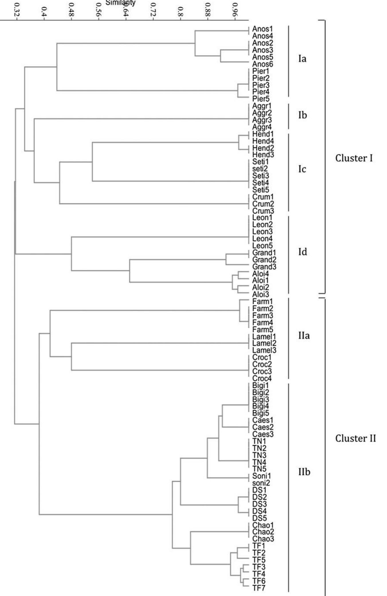 (PDF) Genetic Relatedness among Dendrobium (Orchidaceae) Species and ...