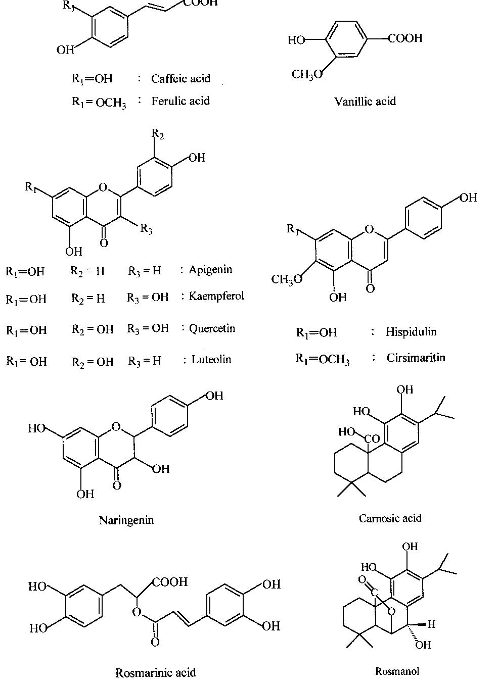 (PDF) Antioxidant activity and phenolic compounds in selected herbs