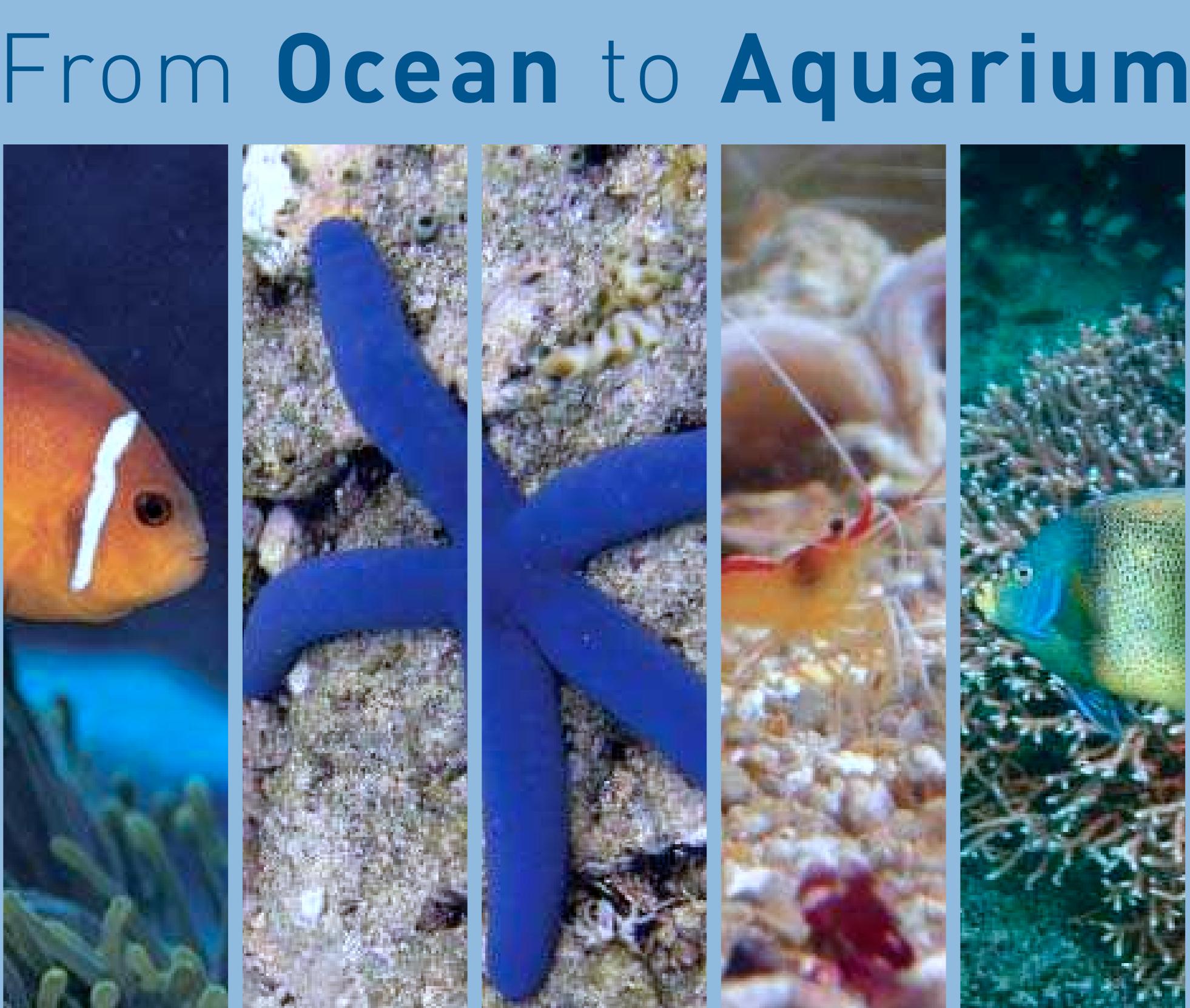 Aqua Lifeアクアライフ 1990 1995 1996 1997 まとめ（PDF) From