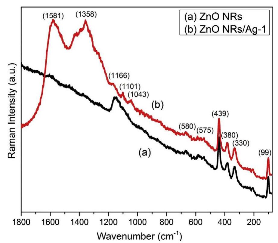 Raman spectra of the pure zno nrs and zno nrs/ag-1
