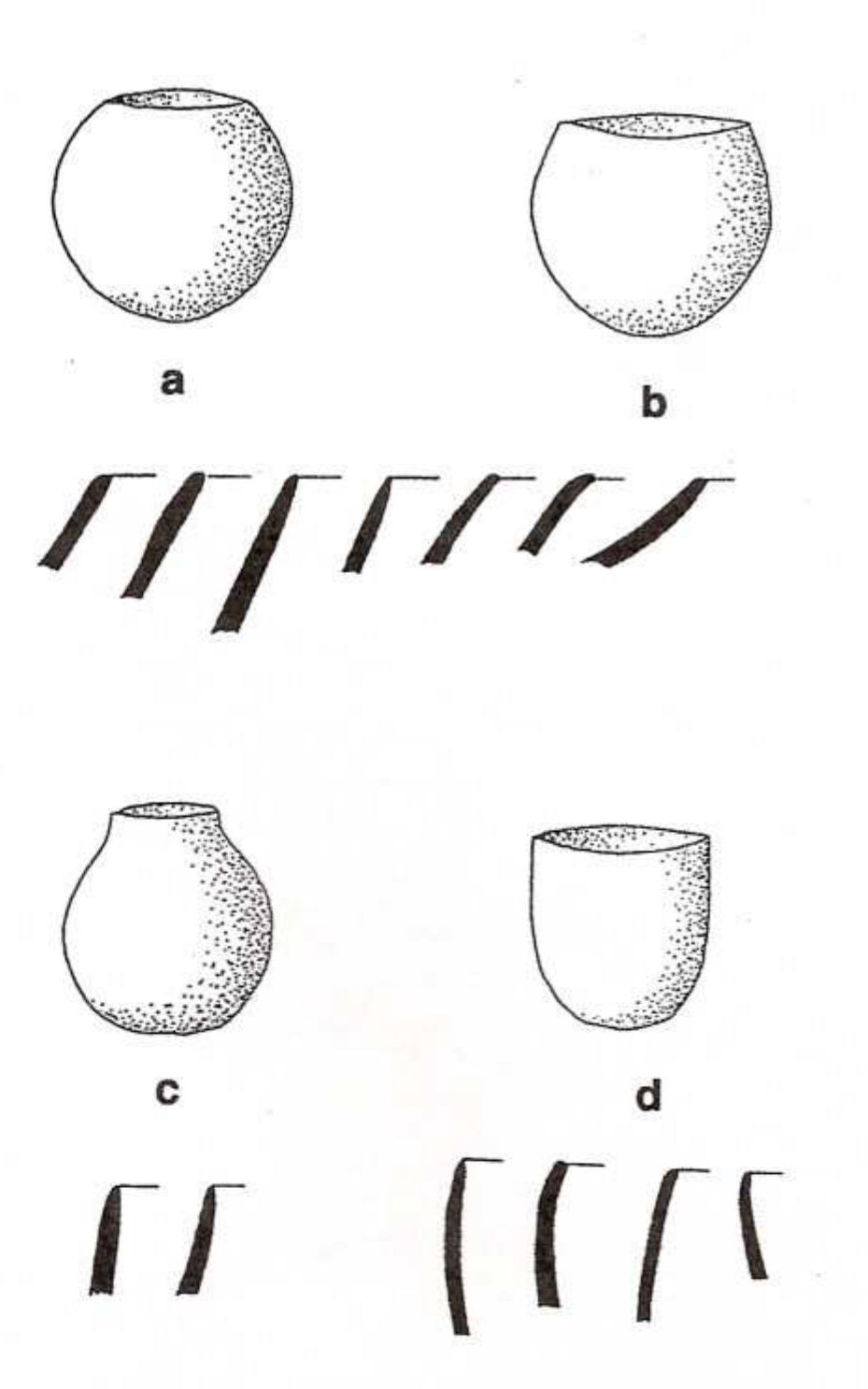 Figure 1 - from Ceramics of the Jornada Mogollon and