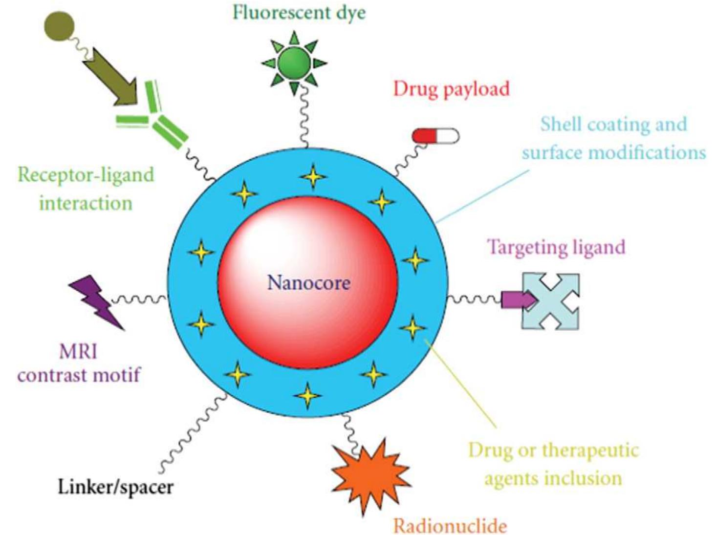 (PDF) Core/shell nanoparticles in biomedical applications