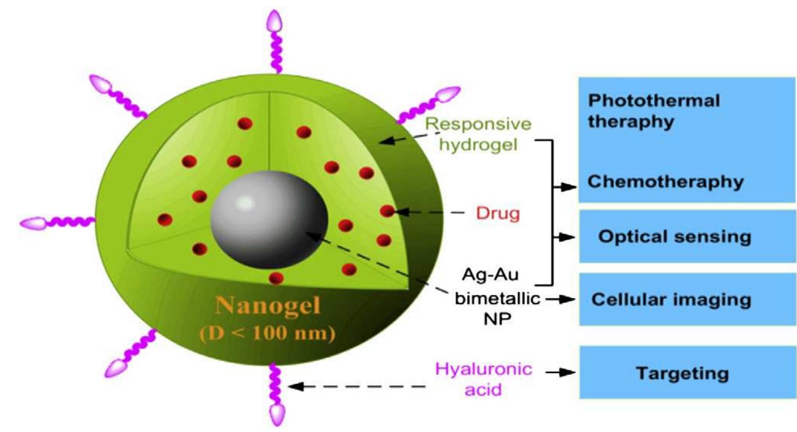 (PDF) Core/shell nanoparticles in biomedical applications
