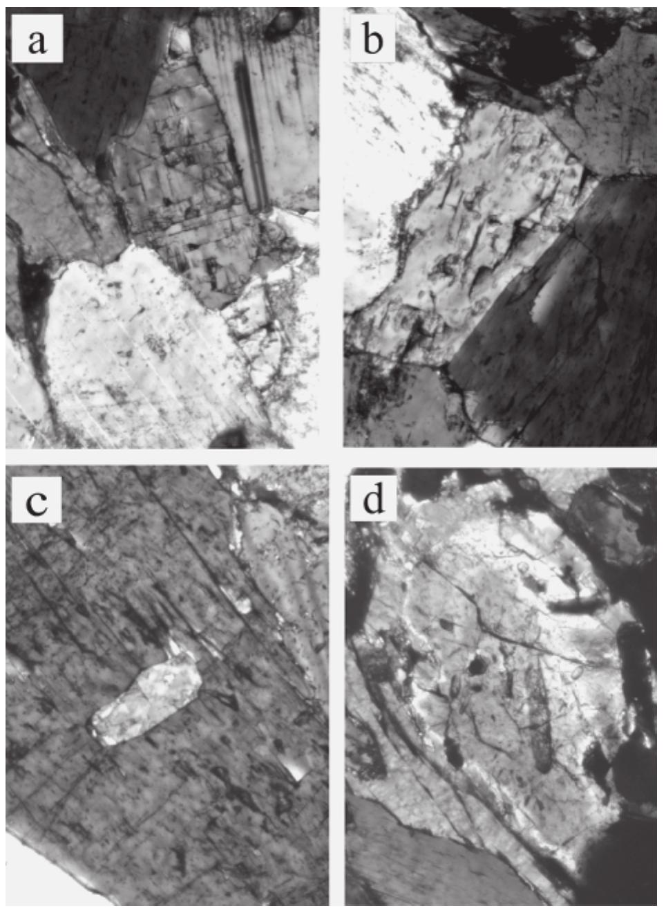 Magmatic anhydrite in granitic rocks: First occurence and potential ...