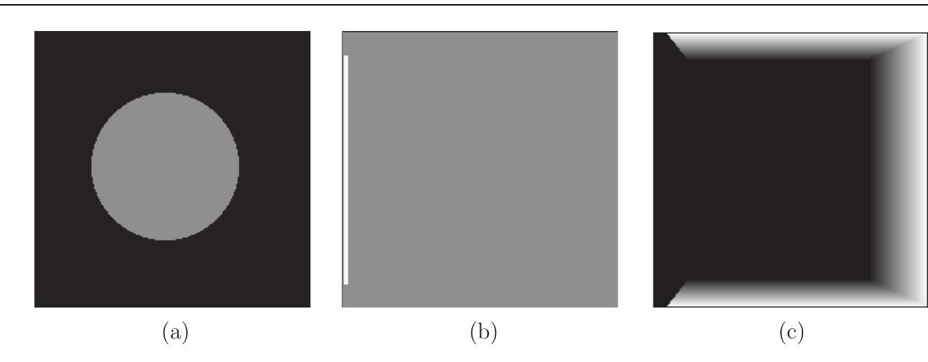 Figure 3. Definition of the simulation space: (a) density mass, (b) excitation and (c) damping.  By means of Newton’s second law, we calculate the acceleration matrix A determining the acceleration of each mass. This matrix is computed as 